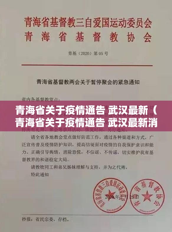 青海省关于疫情通告 武汉最新（青海省关于疫情通告 武汉最新消息）