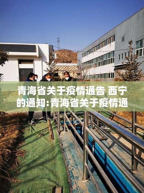 青海省关于疫情通告 西宁的通知:青海省关于疫情通告 西宁的通知文件