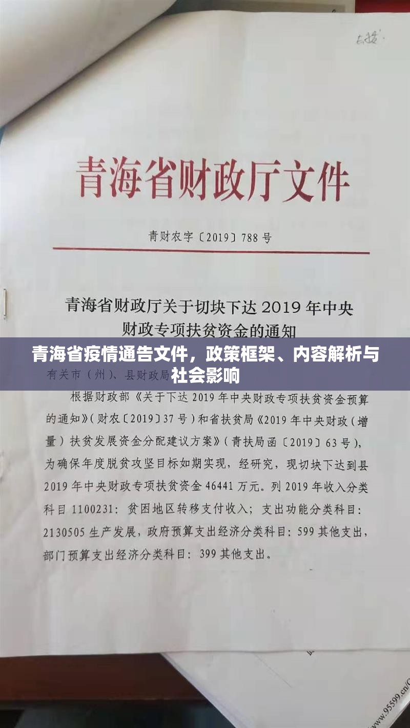 青海省疫情通告文件，政策框架、内容解析与社会影响