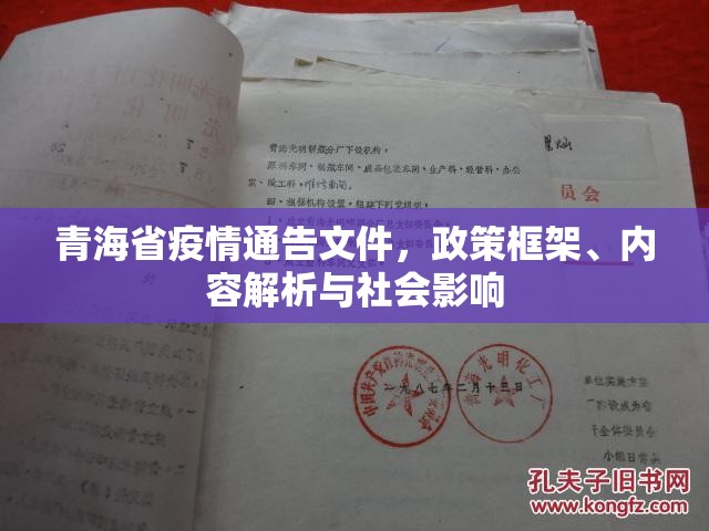 青海省疫情通告文件，政策框架、内容解析与社会影响