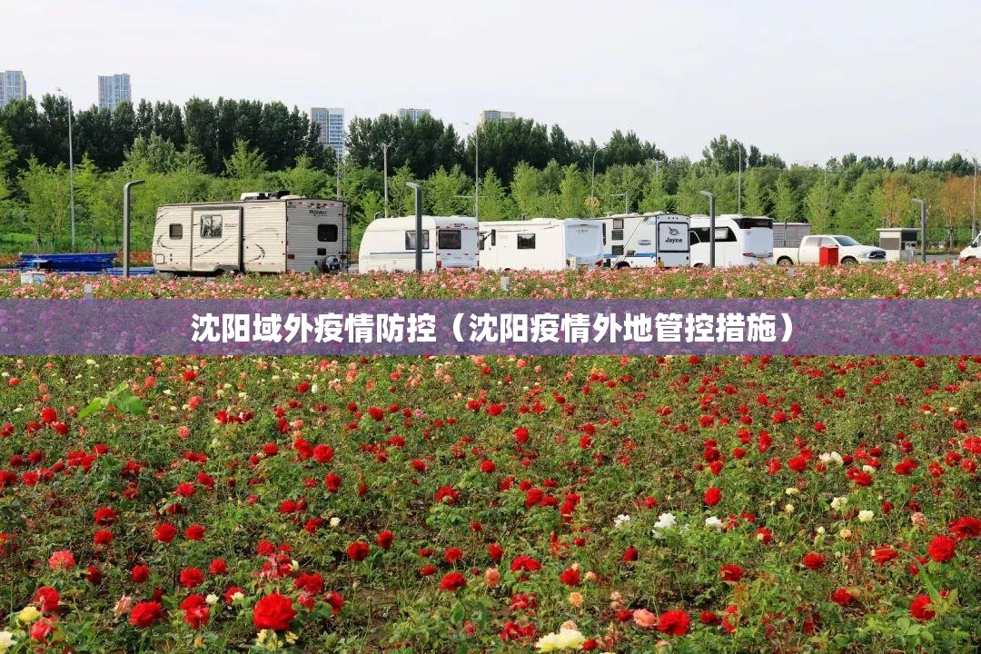 【上海疫情治愈情况,上海疫情治愈情况最新】
