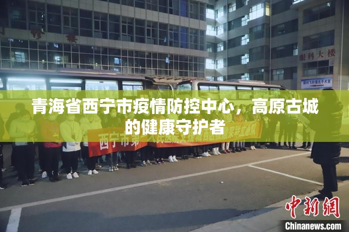 青海省西宁市疫情防控中心，高原古城的健康守护者