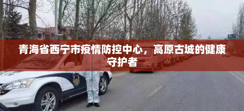 青海省西宁市疫情防控中心，高原古城的健康守护者