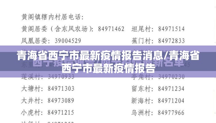 青海省西宁市最新疫情报告消息/青海省西宁市最新疫情报告