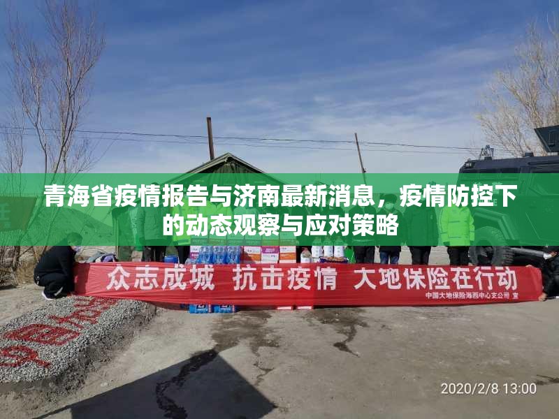 青海省疫情报告与济南最新消息，疫情防控下的动态观察与应对策略