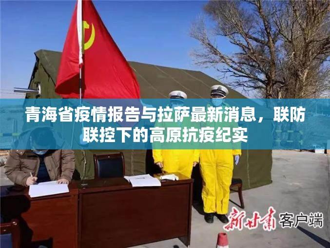 青海省疫情报告与拉萨最新消息，联防联控下的高原抗疫纪实