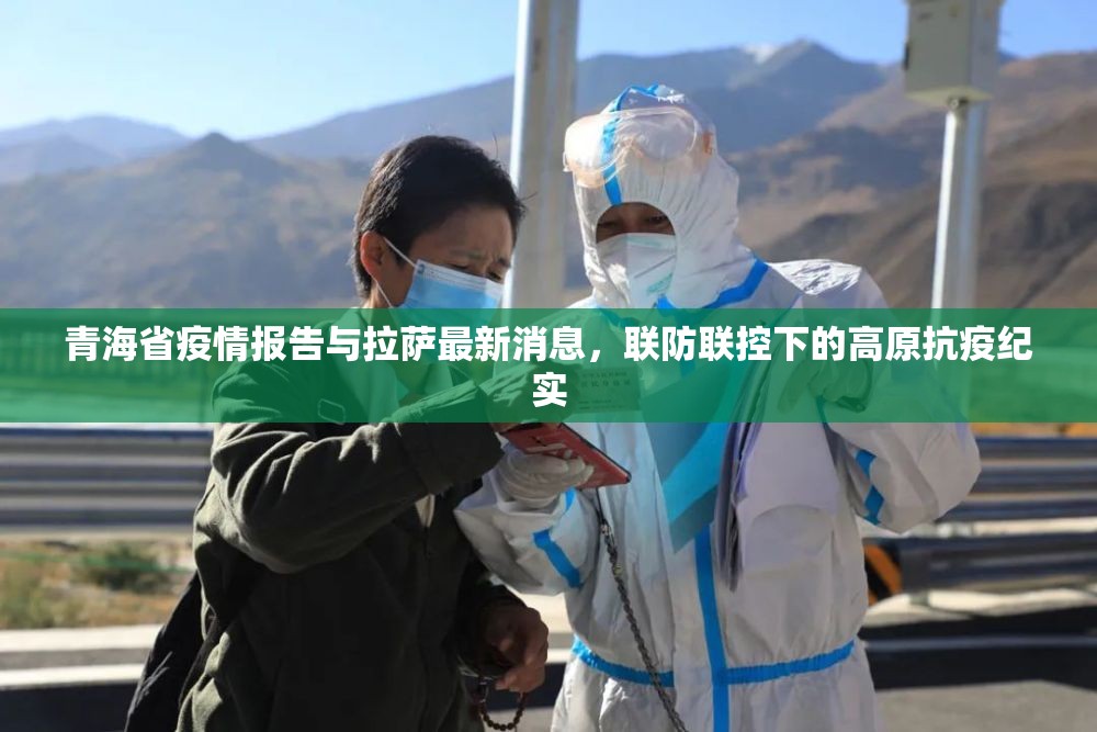 青海省疫情报告与拉萨最新消息，联防联控下的高原抗疫纪实