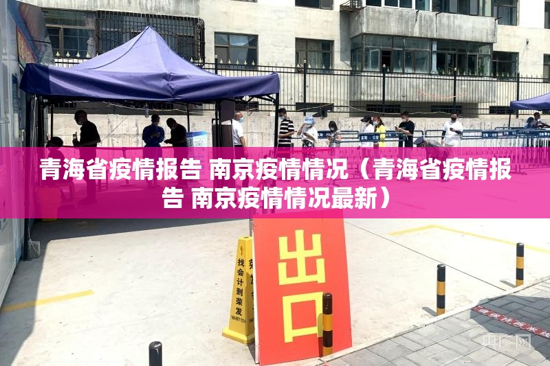 青海省疫情报告 南京疫情情况（青海省疫情报告 南京疫情情况最新）