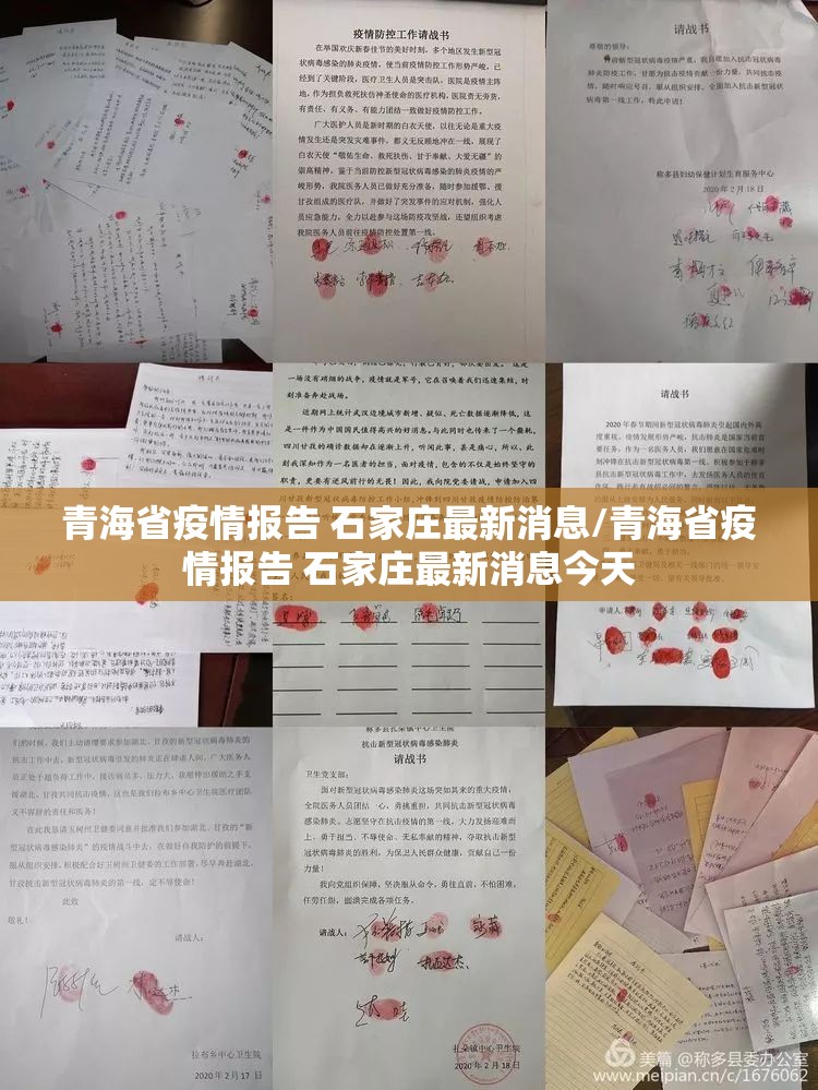 青海省疫情报告 石家庄最新消息/青海省疫情报告 石家庄最新消息今天