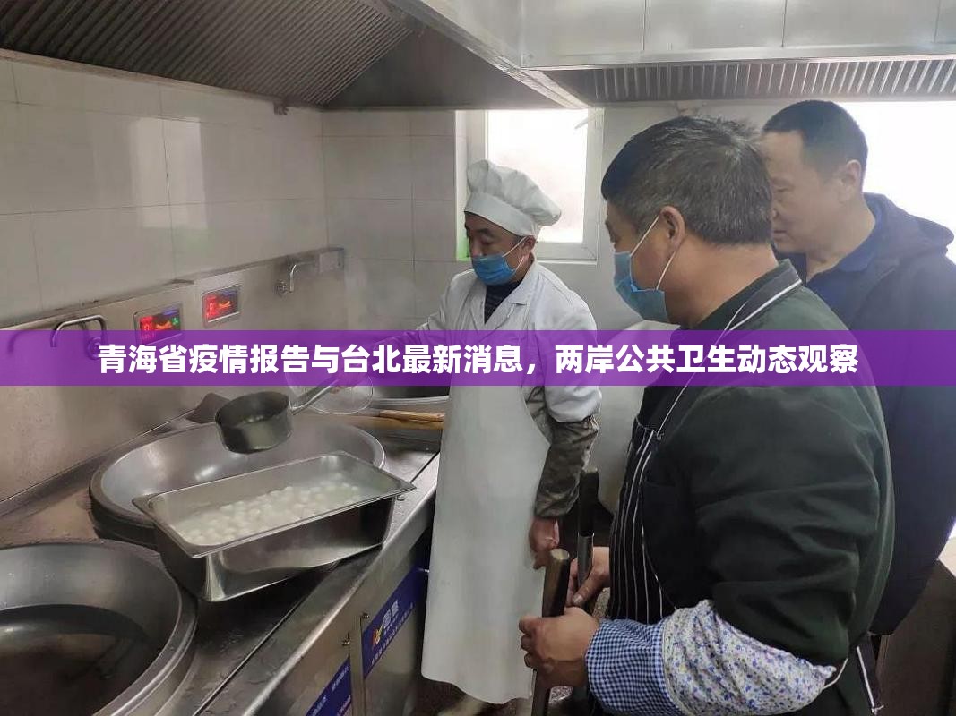 青海省疫情报告与台北最新消息，两岸公共卫生动态观察