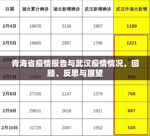 青海省疫情报告与武汉疫情情况，回顾、反思与展望