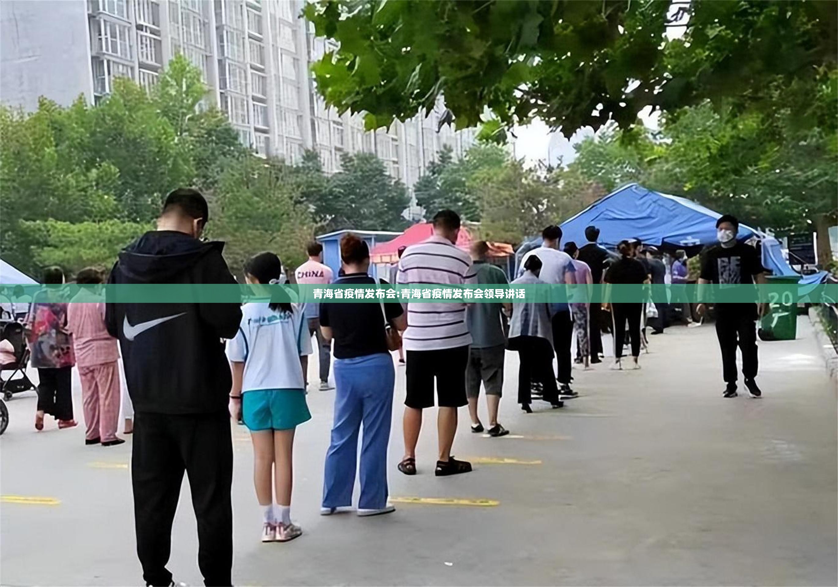 青海省疫情发布会:青海省疫情发布会领导讲话