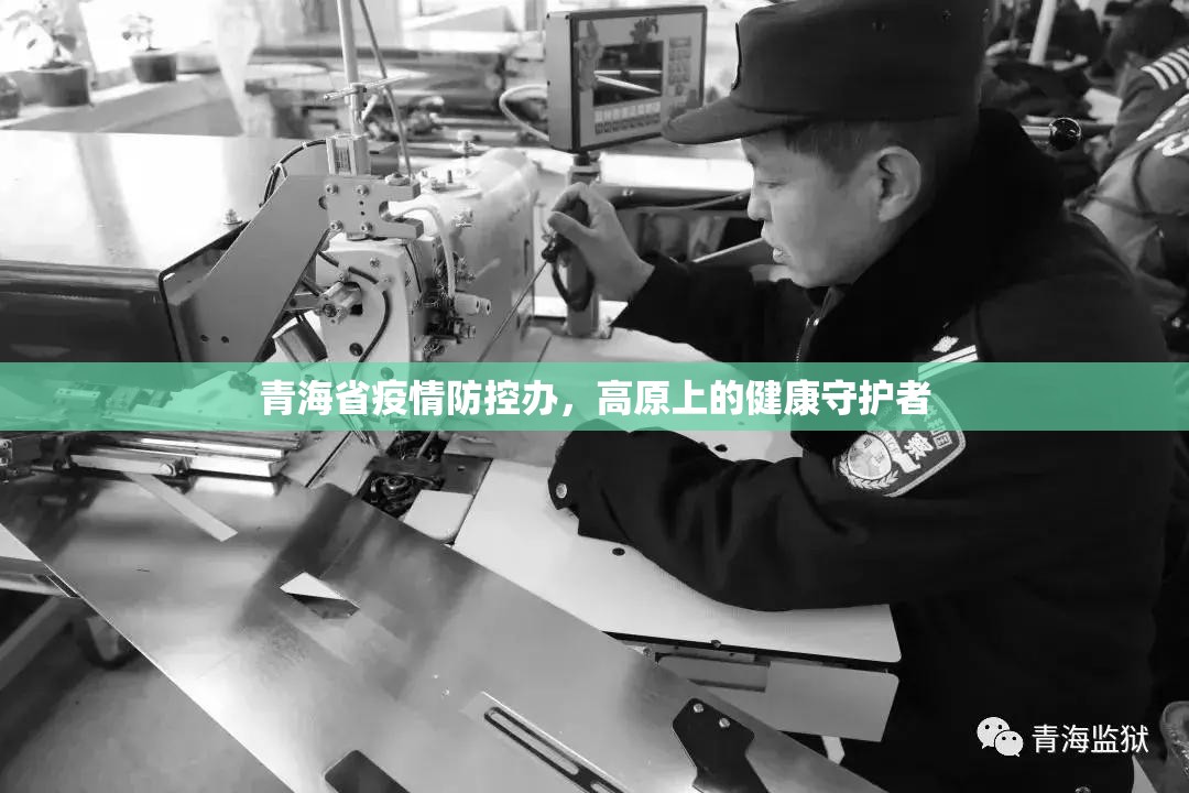 青海省疫情防控办，高原上的健康守护者