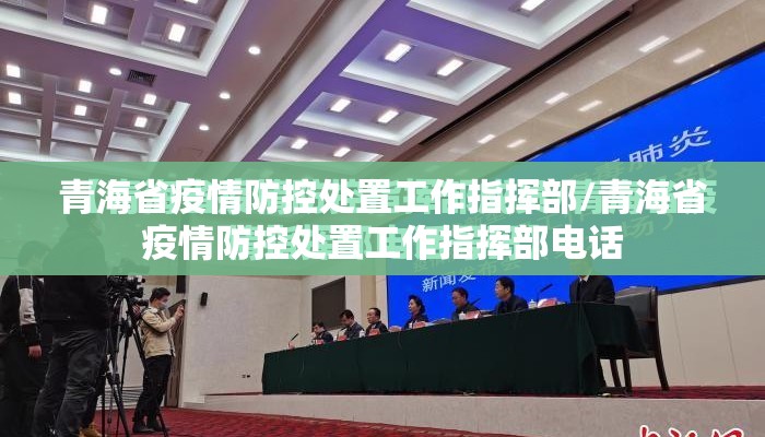 青海省疫情防控处置工作指挥部/青海省疫情防控处置工作指挥部电话