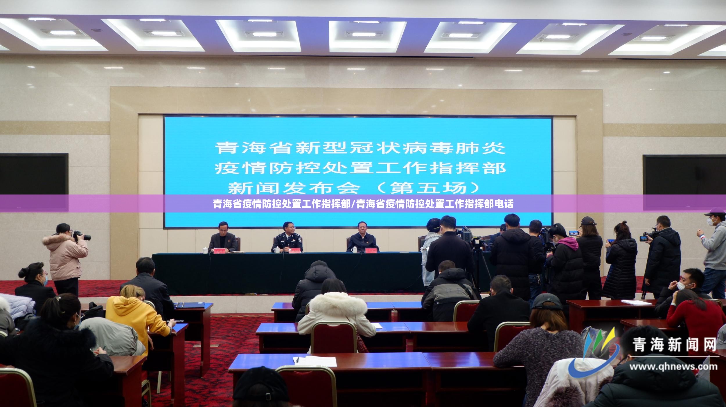 青海省疫情防控处置工作指挥部/青海省疫情防控处置工作指挥部电话