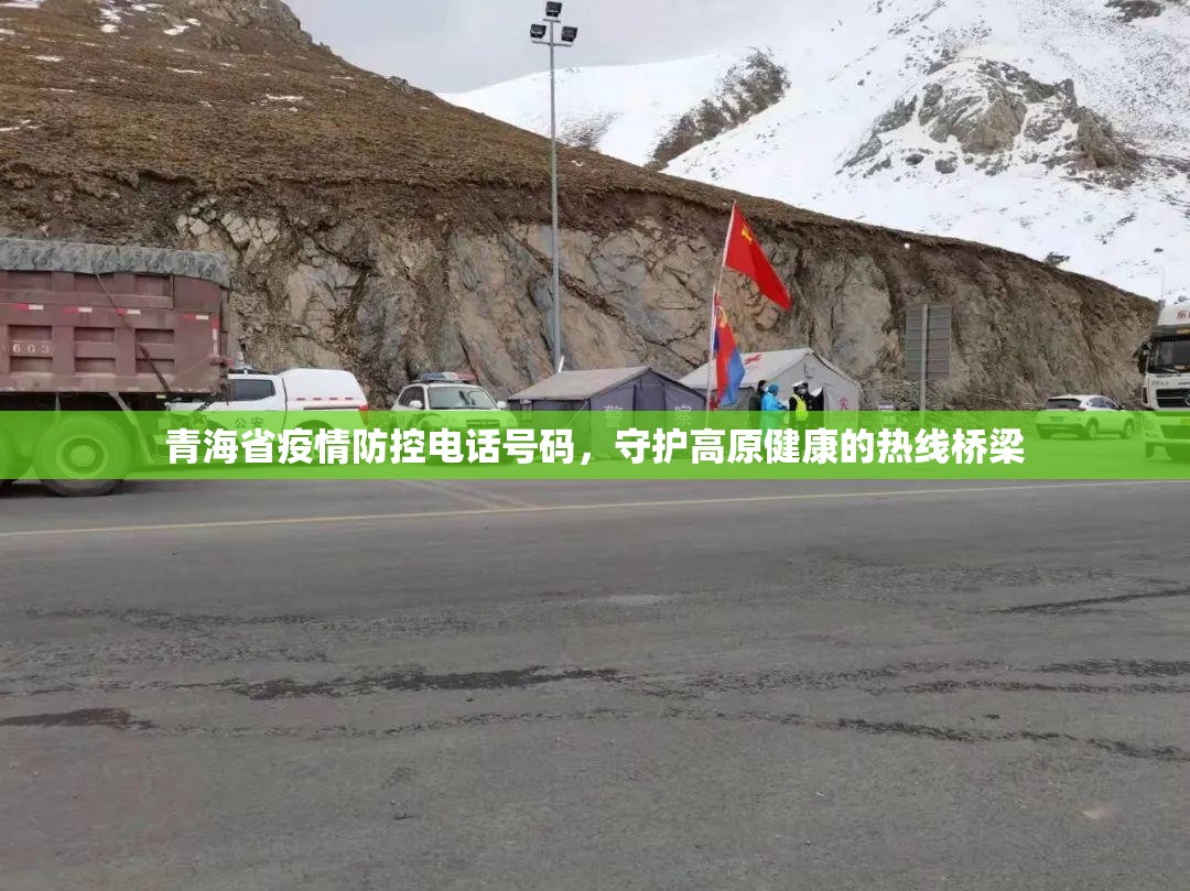 青海省疫情防控电话号码，守护高原健康的热线桥梁