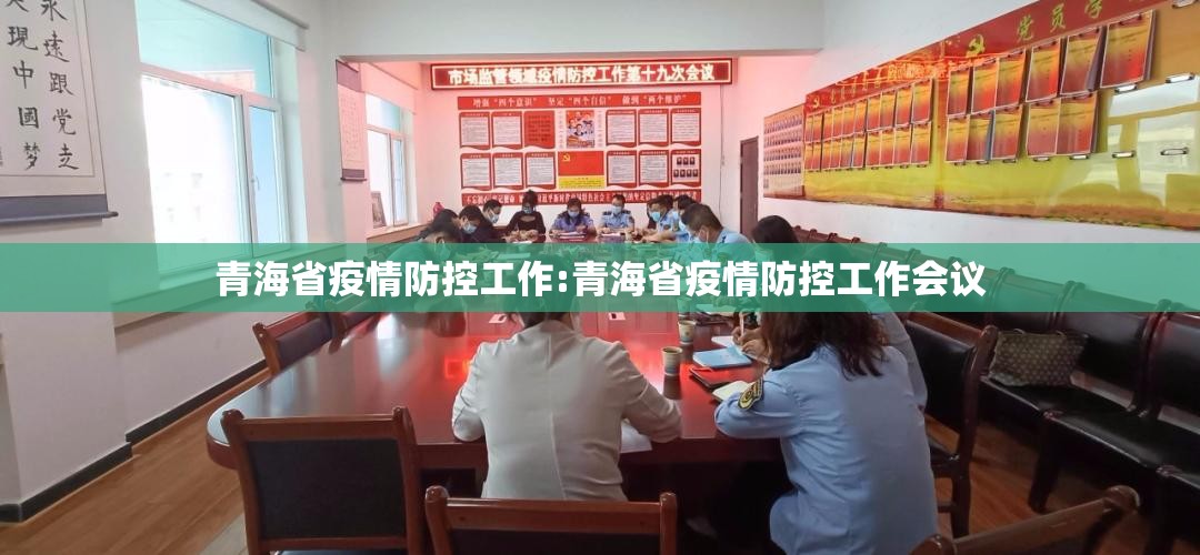 青海省疫情防控工作:青海省疫情防控工作会议