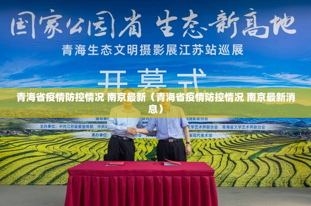 青海省疫情防控情况 南京最新（青海省疫情防控情况 南京最新消息）