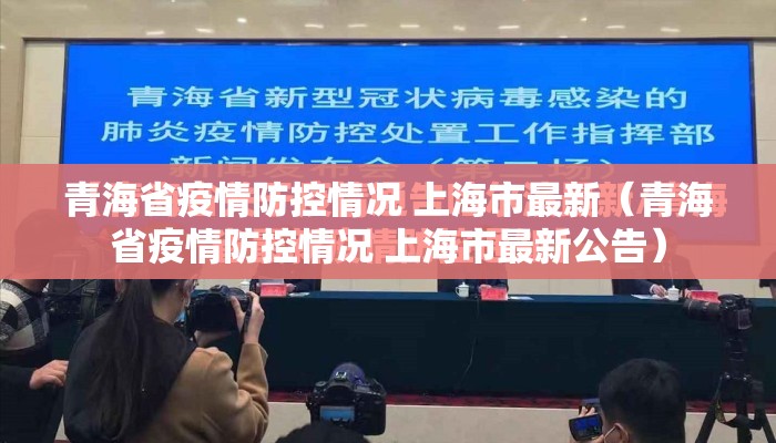 青海省疫情防控情况 上海市最新（青海省疫情防控情况 上海市最新公告）