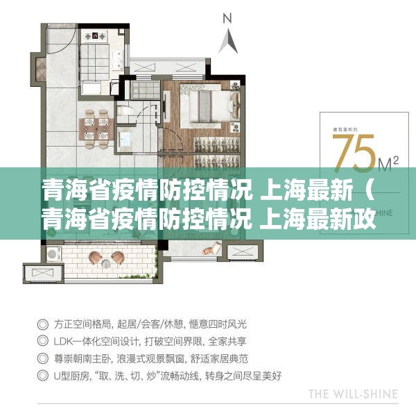 青海省疫情防控情况 上海最新（青海省疫情防控情况 上海最新政策）