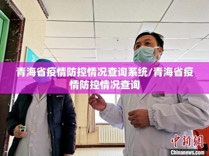 青海省疫情防控情况查询系统/青海省疫情防控情况查询