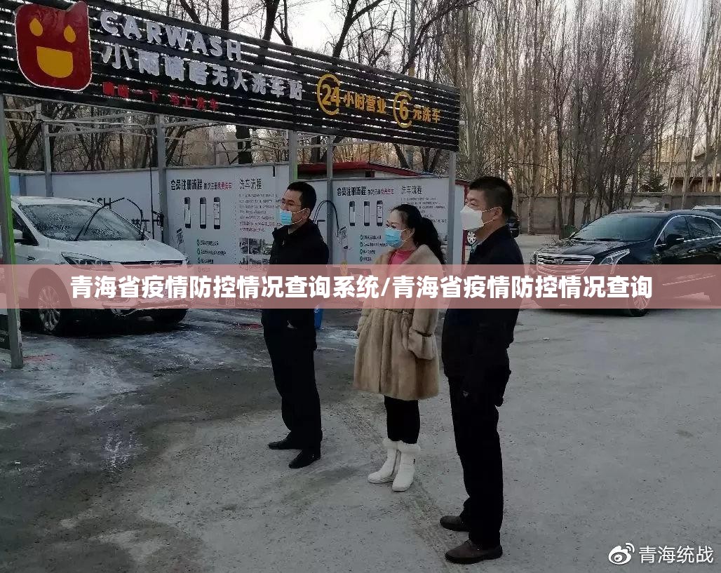 青海省疫情防控情况查询系统/青海省疫情防控情况查询
