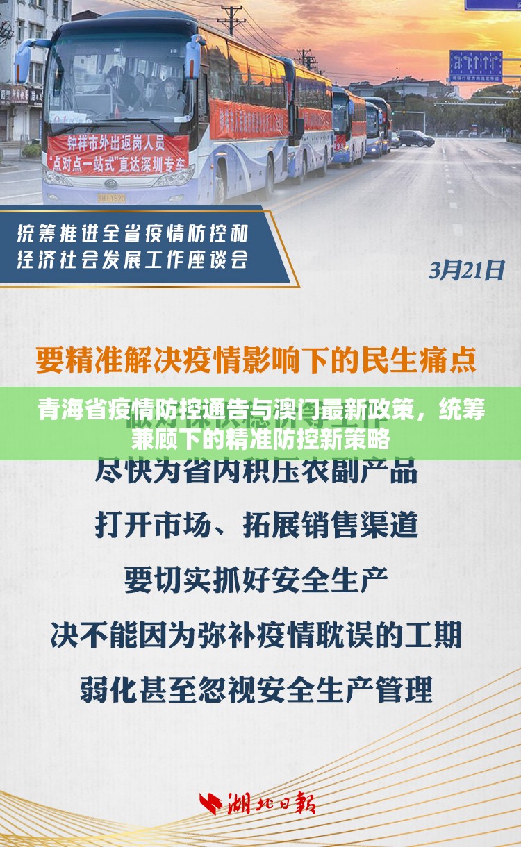 青海省疫情防控通告与澳门最新政策，统筹兼顾下的精准防控新策略