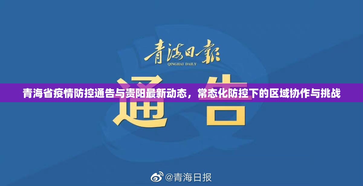 青海省疫情防控通告与贵阳最新动态，常态化防控下的区域协作与挑战