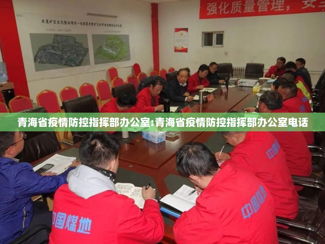 青海省疫情防控指挥部办公室:青海省疫情防控指挥部办公室电话