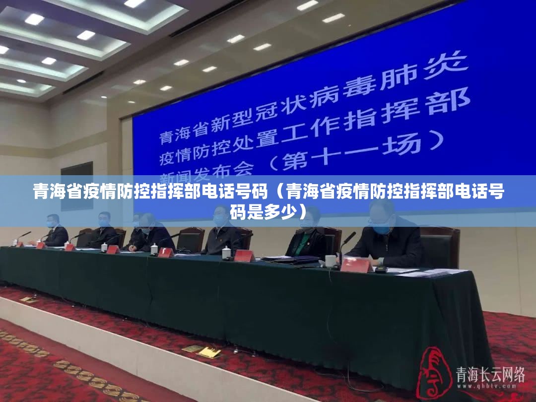 青海省疫情防控指挥部电话号码（青海省疫情防控指挥部电话号码是多少）