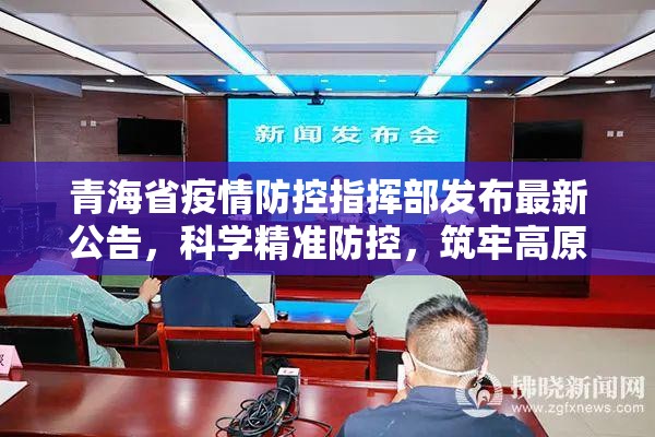 青海省疫情防控指挥部发布最新公告，科学精准防控，筑牢高原健康防线