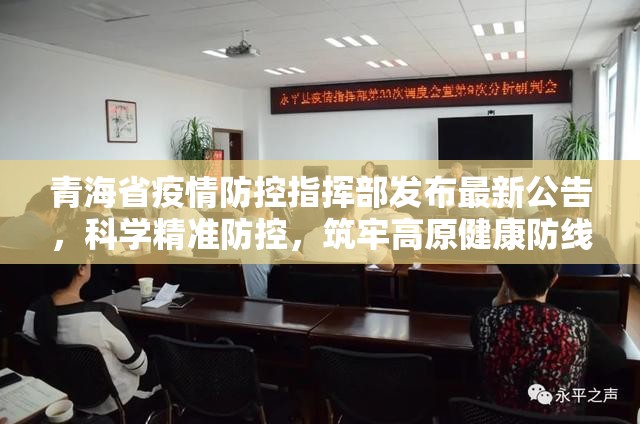 青海省疫情防控指挥部发布最新公告，科学精准防控，筑牢高原健康防线