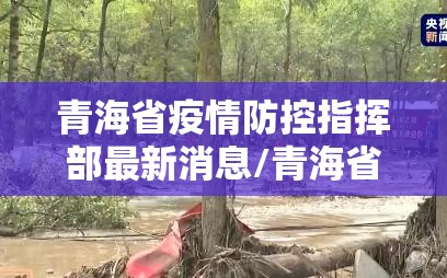 青海省疫情防控指挥部最新消息/青海省疫情防控指挥部最新消息通知