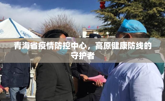 青海省疫情防控中心，高原健康防线的守护者