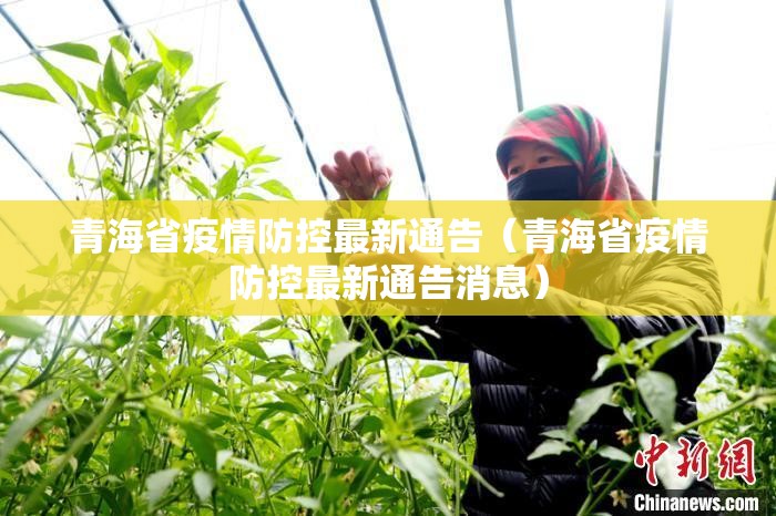 青海省疫情防控最新通告（青海省疫情防控最新通告消息）