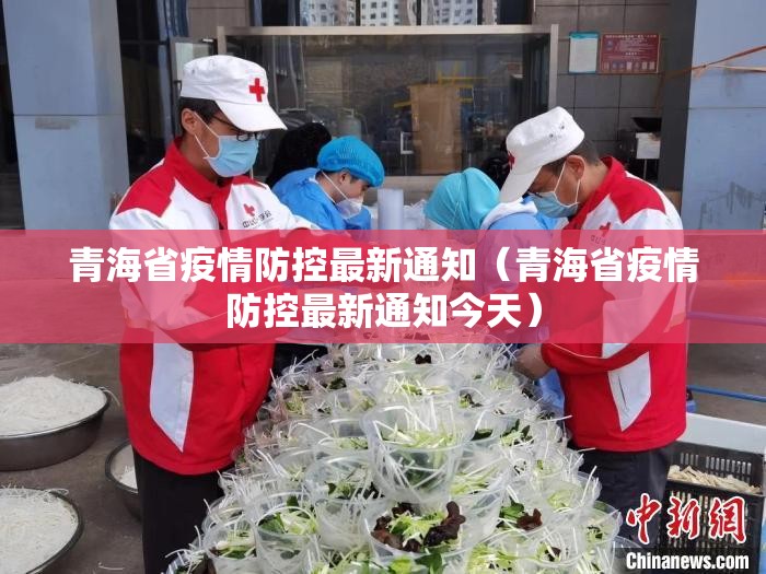 青海省疫情防控最新通知（青海省疫情防控最新通知今天）