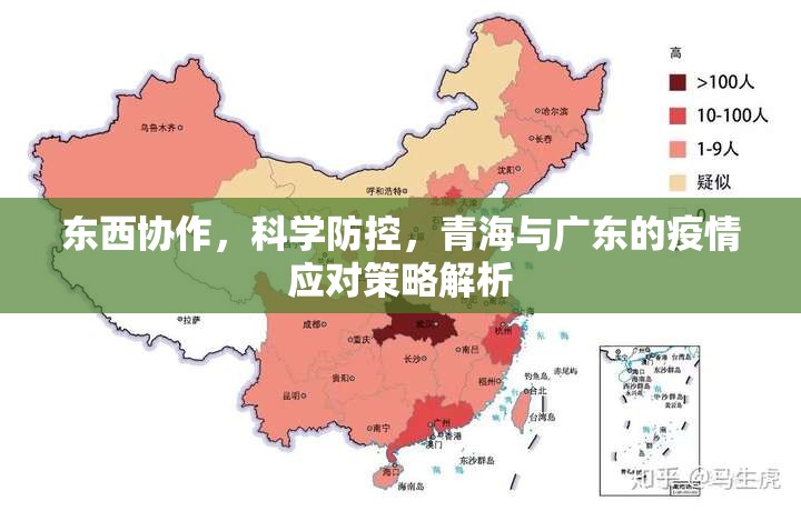 东西协作，科学防控，青海与广东的疫情应对策略解析