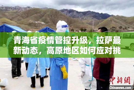 青海省疫情管控升级，拉萨最新动态，高原地区如何应对挑战？