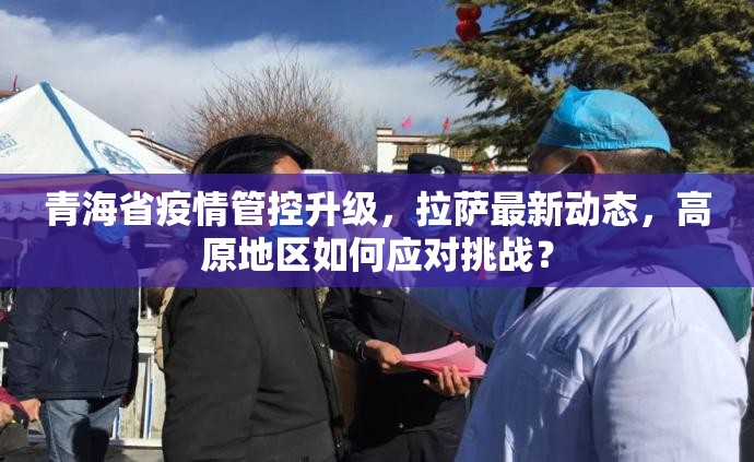 青海省疫情管控升级，拉萨最新动态，高原地区如何应对挑战？
