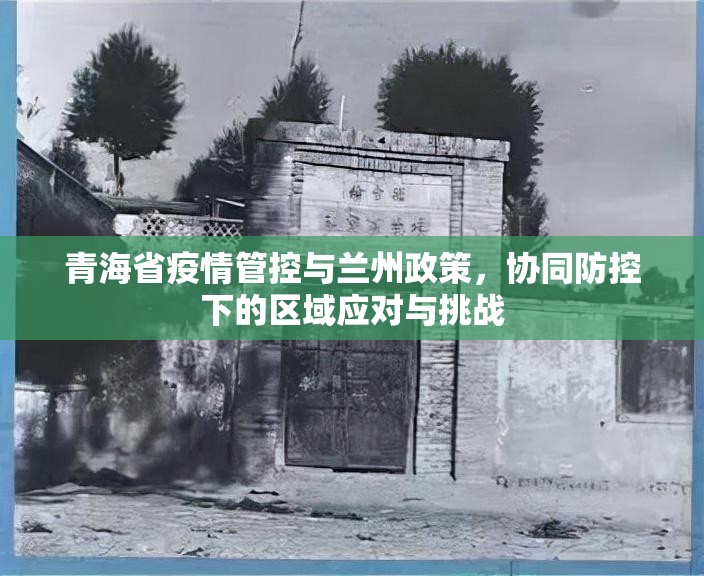 青海省疫情管控与兰州政策，协同防控下的区域应对与挑战
