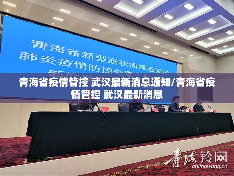 青海省疫情管控 武汉最新消息通知/青海省疫情管控 武汉最新消息
