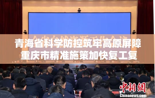 青海省科学防控筑牢高原屏障 重庆市精准施策加快复工复产