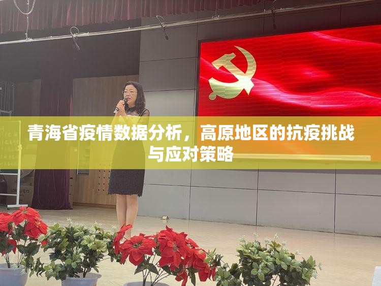 青海省疫情数据分析，高原地区的抗疫挑战与应对策略