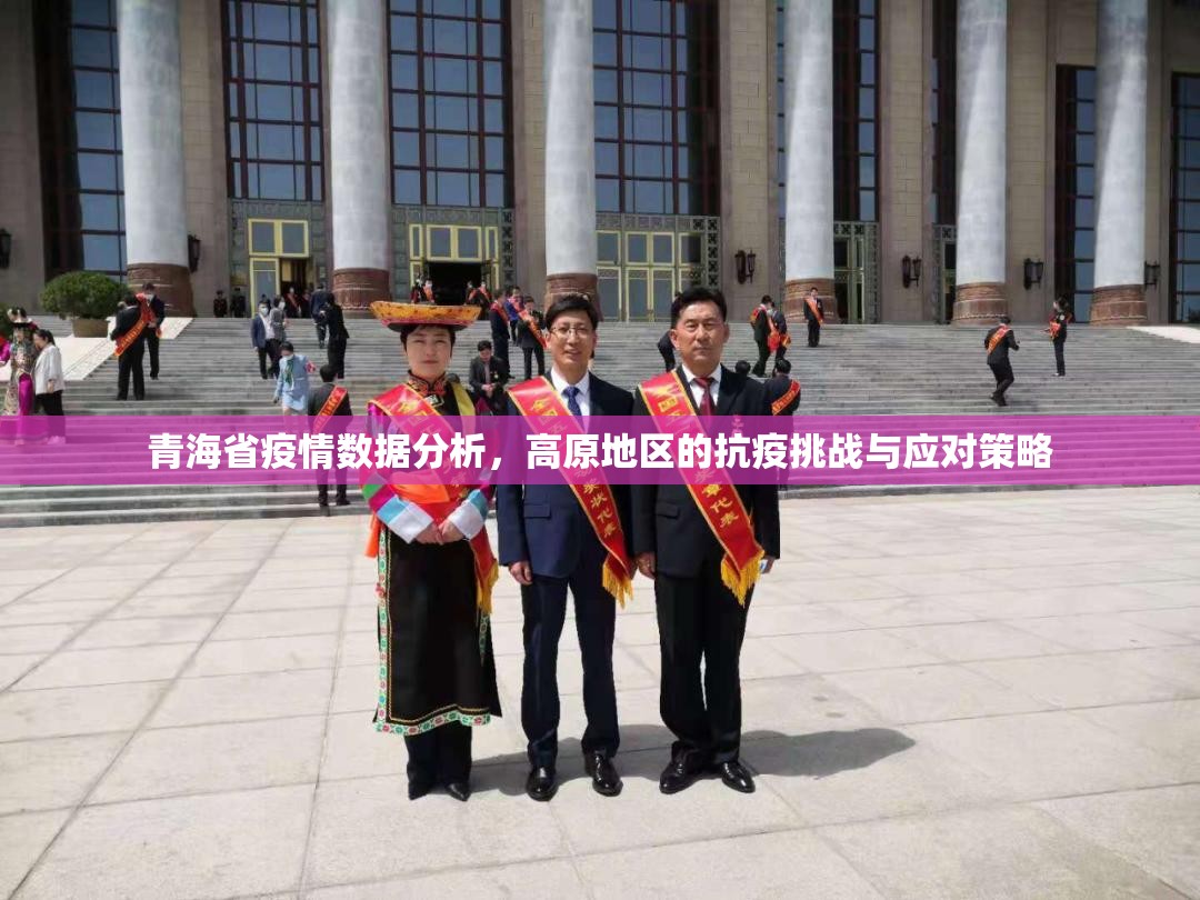 青海省疫情数据分析，高原地区的抗疫挑战与应对策略