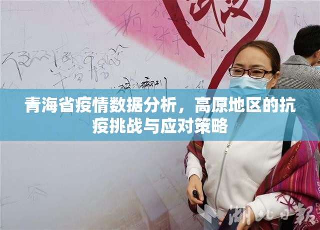 青海省疫情数据分析，高原地区的抗疫挑战与应对策略