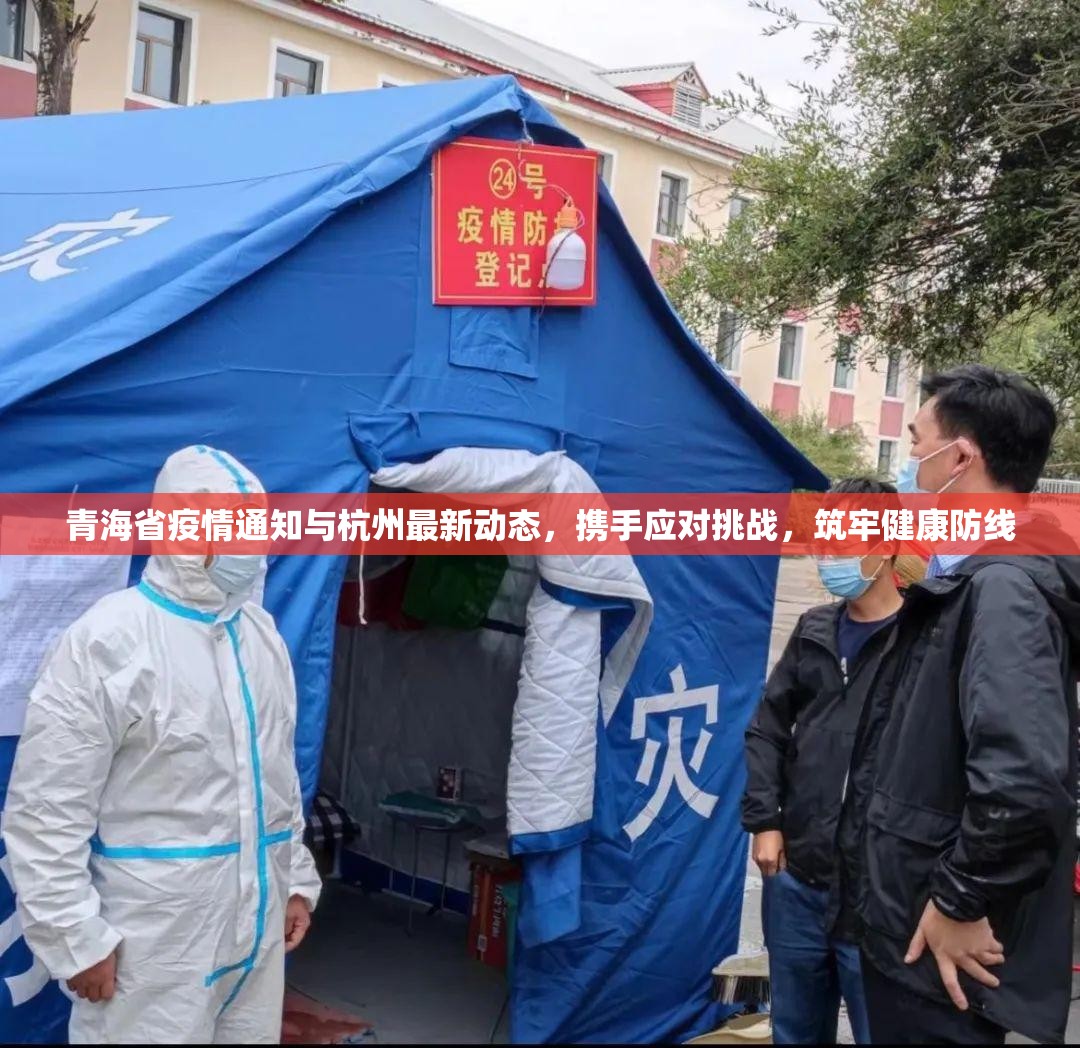 青海省疫情通知与杭州最新动态，携手应对挑战，筑牢健康防线