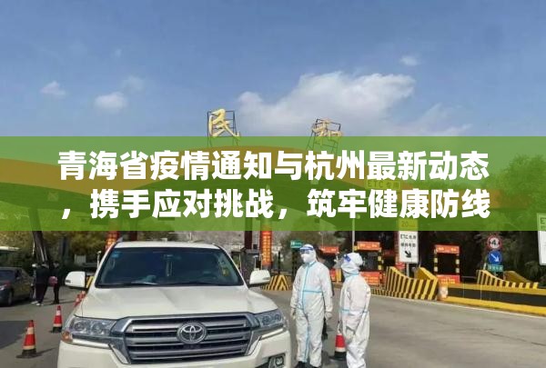 青海省疫情通知与杭州最新动态，携手应对挑战，筑牢健康防线
