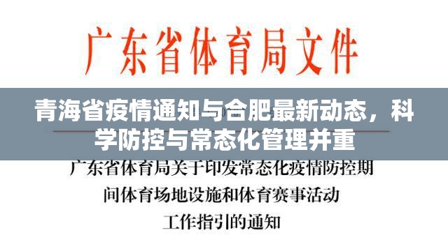 青海省疫情通知与合肥最新动态，科学防控与常态化管理并重