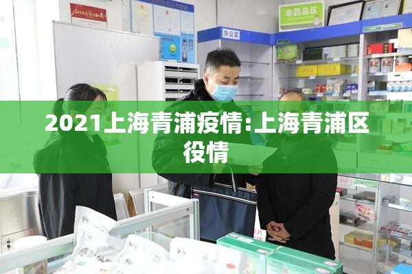 上海疫情输入详情，挑战、应对与启示
