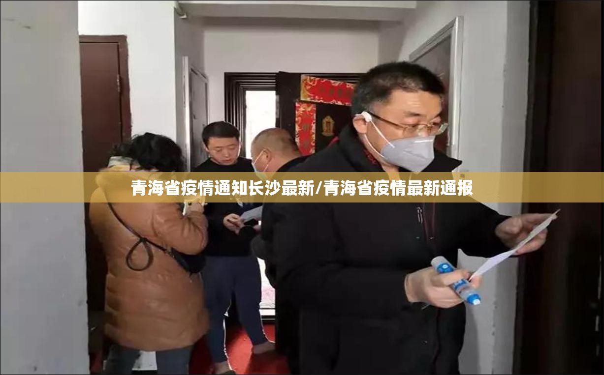 上海疫情输入详情，挑战、应对与启示